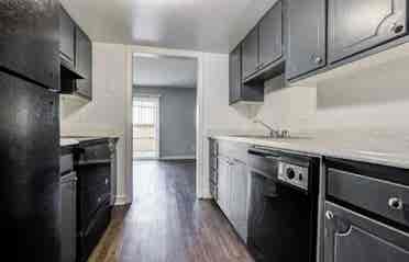 Roommate Needed