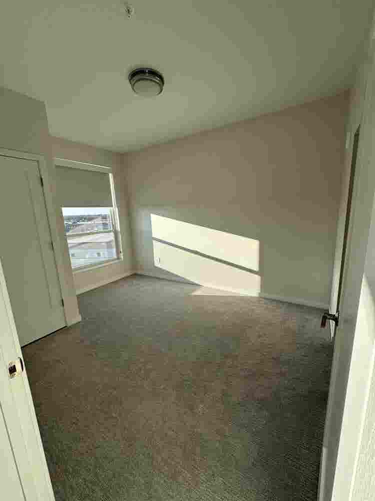 Looking for a female roommate!