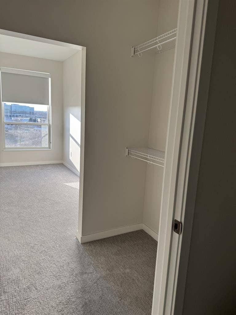 Looking for a female roommate!