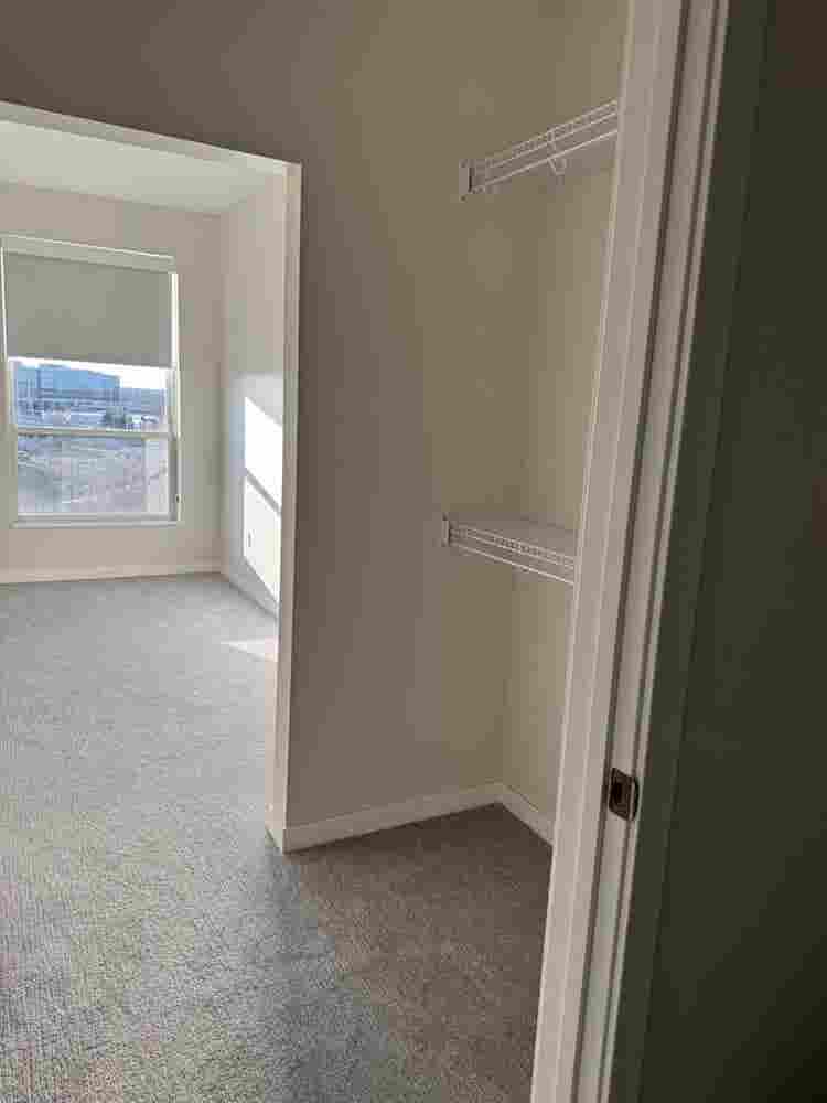 Looking for a female roommate!