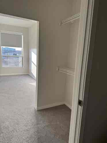 Looking for a female roommate!
