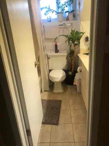Yonge/Sheppard 2 Bedroom -All Incl.