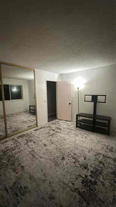 $- Large spacious room