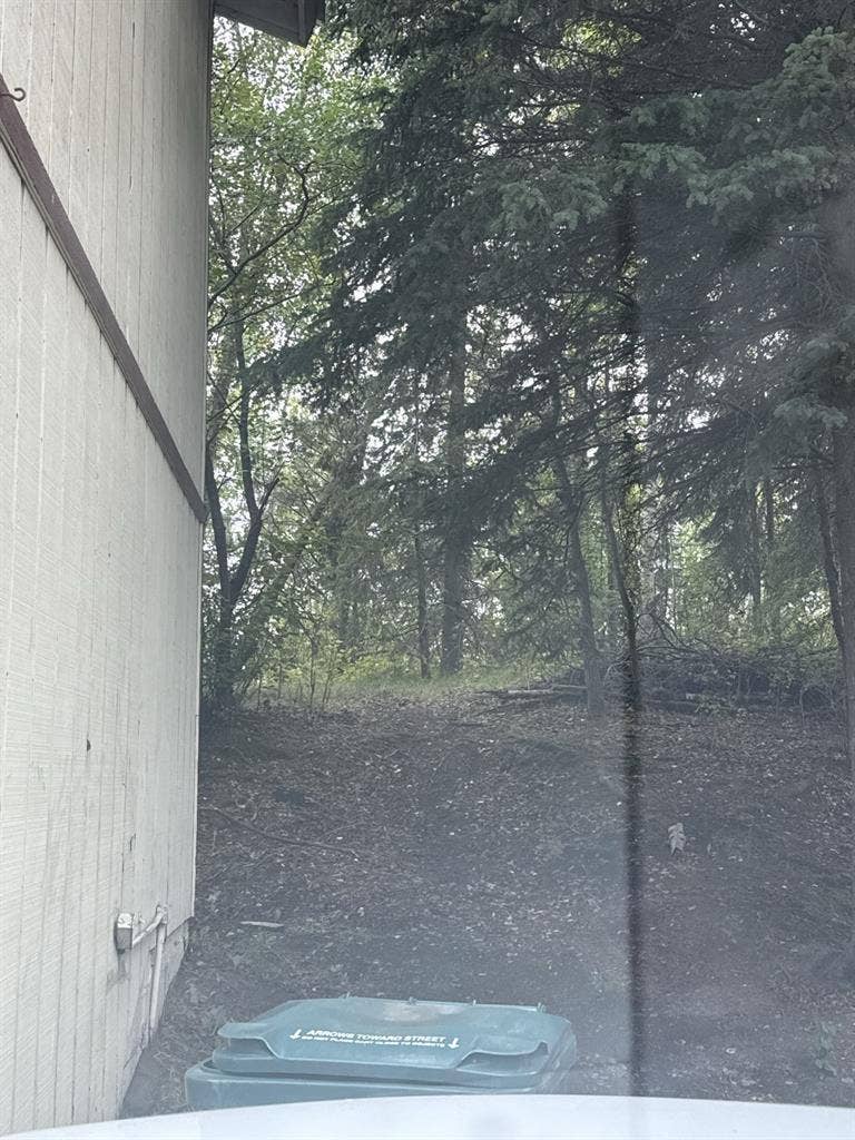 Looking for roommate