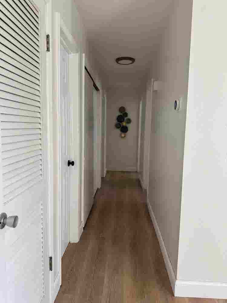 Room with private bathroom near USF