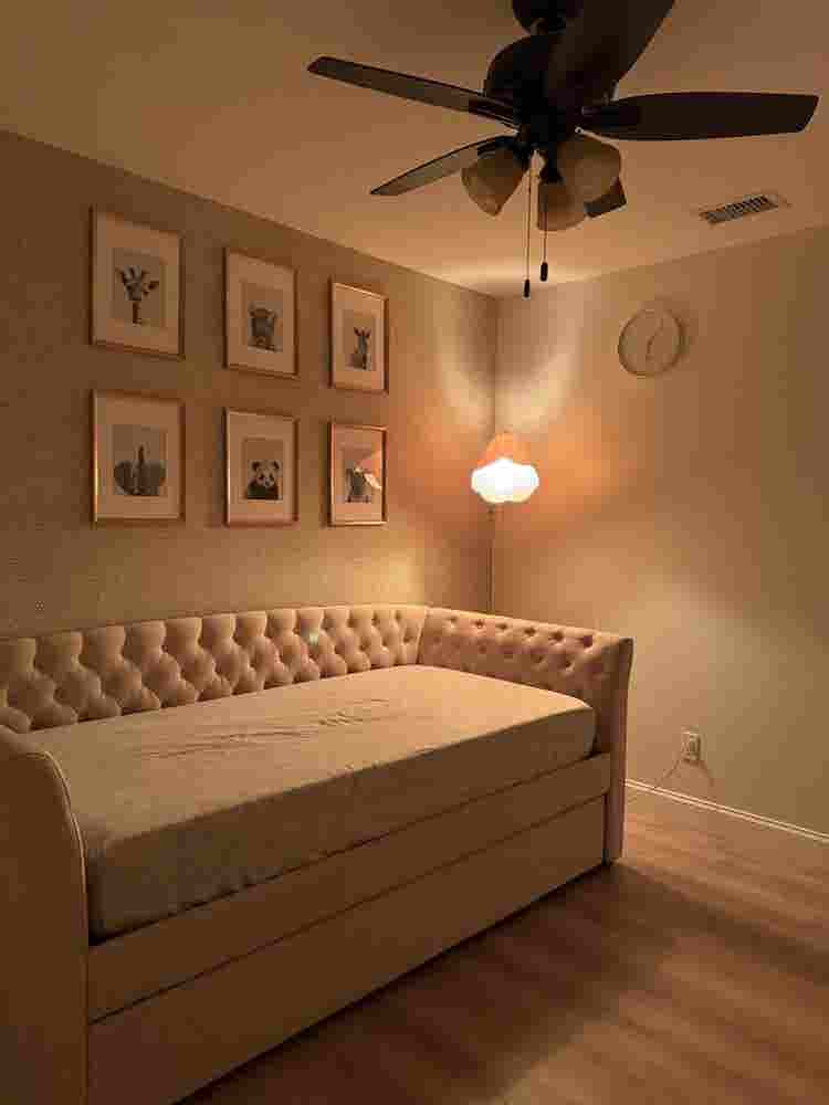 Room for rent near USF