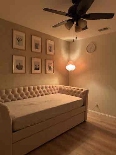 Room for rent near USF