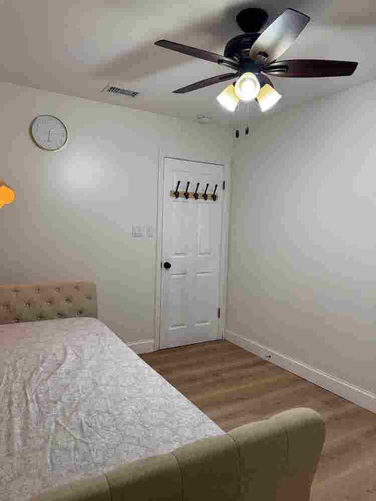 Room for rent near USF