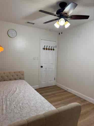 Room for rent near USF