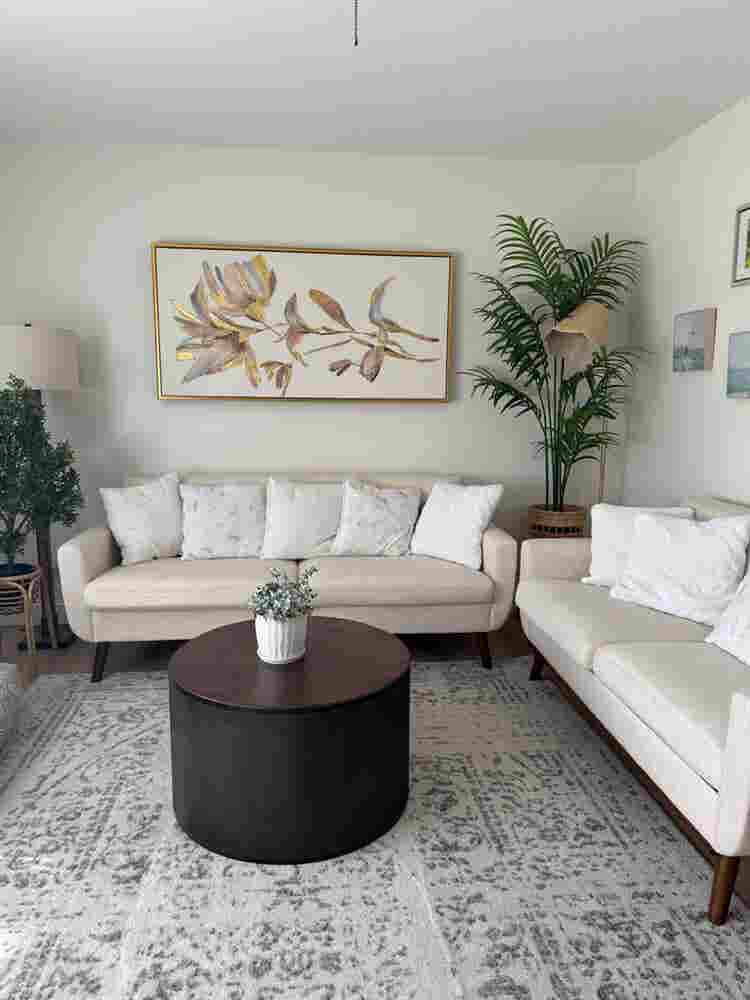 Room for rent near USF