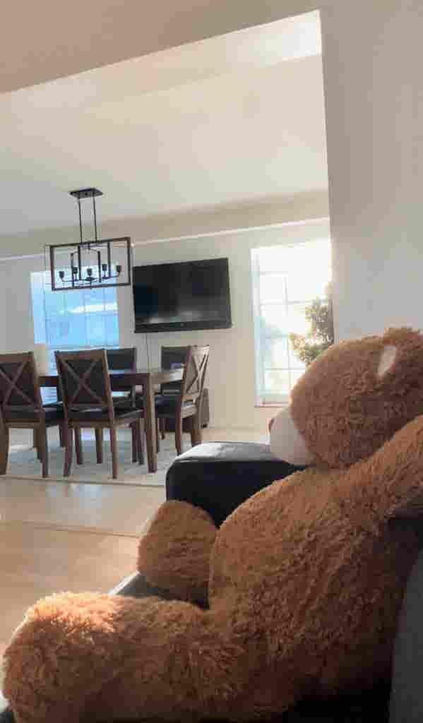 Room for rent near USF