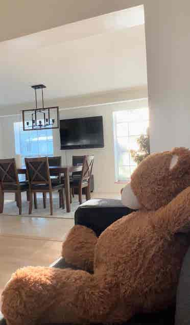 Room for rent near USF