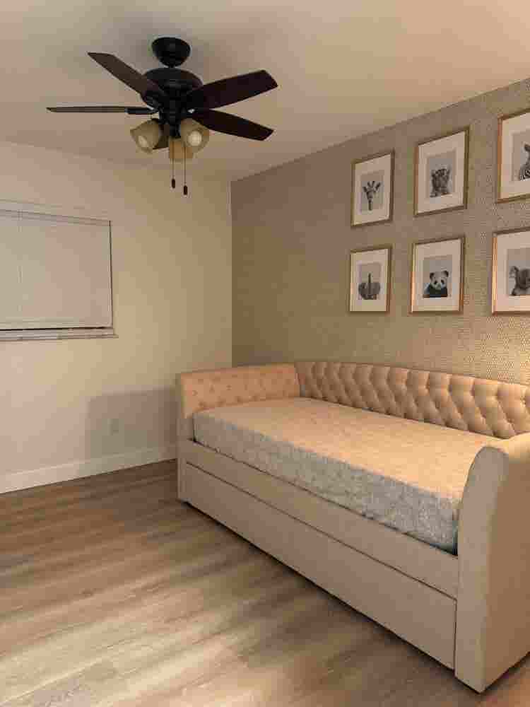 Room for rent near USF