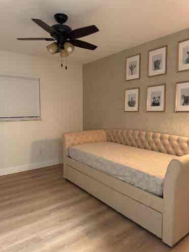 Room for rent near USF