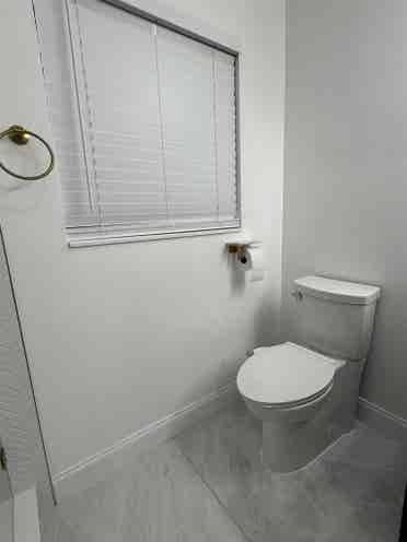 Room for rent near USF