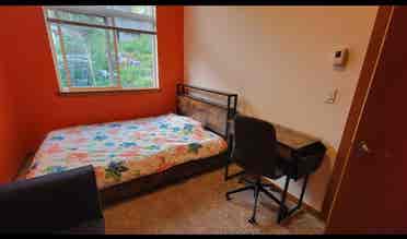 Room with own bathroom, on bus line