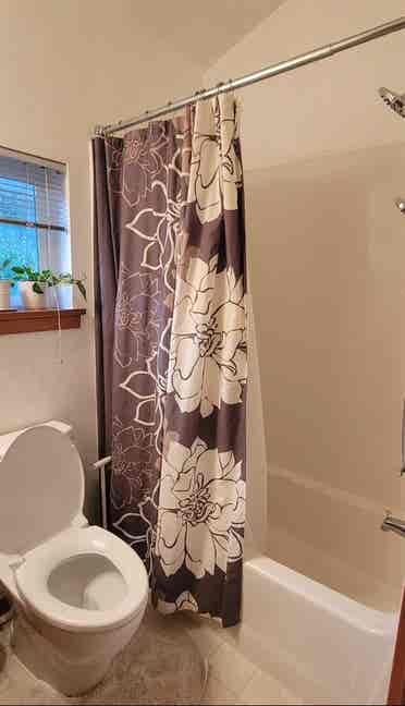Room with own bathroom, on bus line