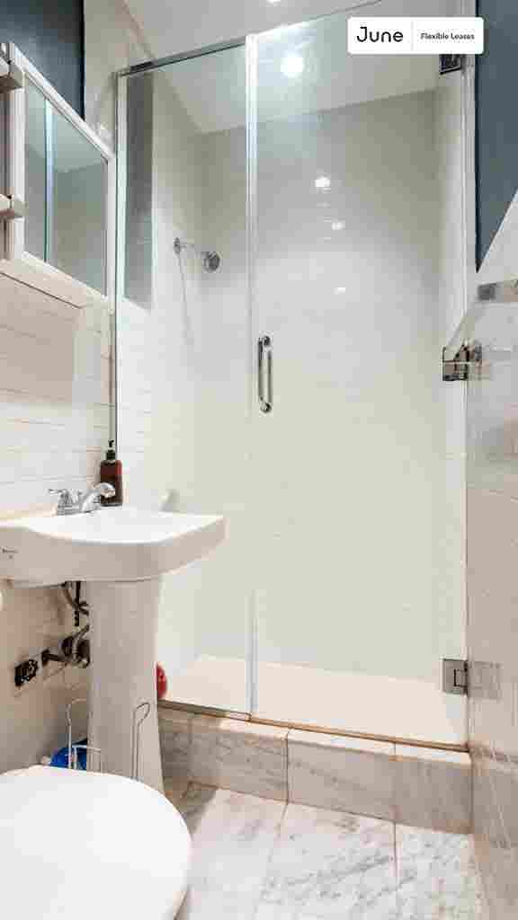 1 BR in New York City
