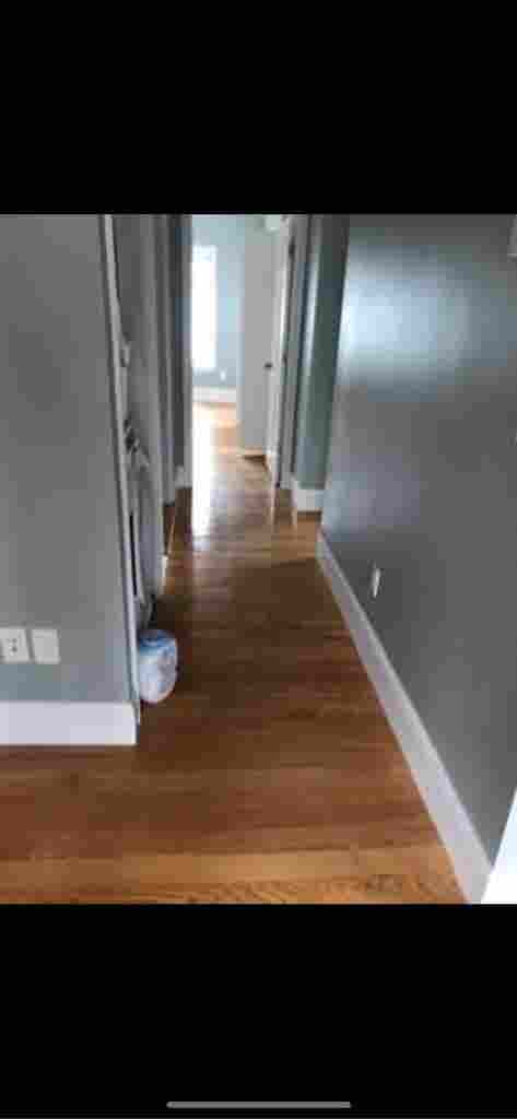 Roommate wanted