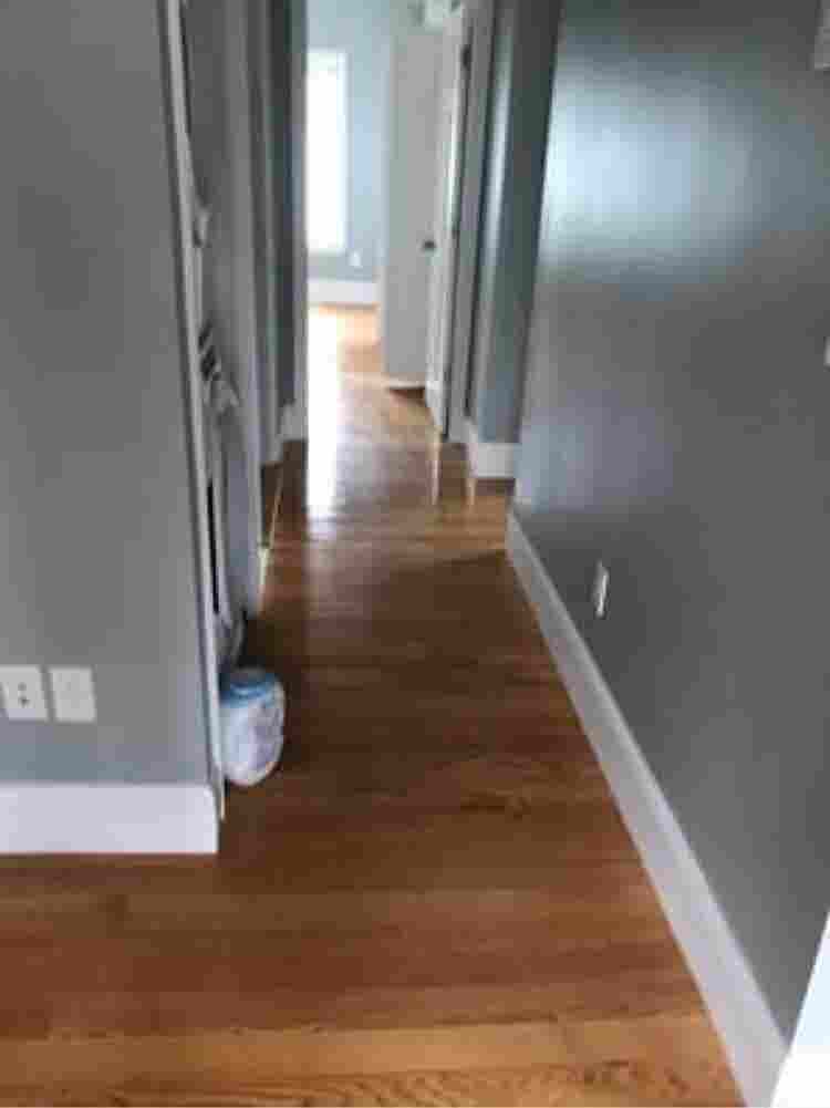 Roommate wanted