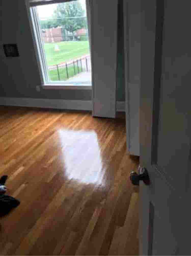 Roommate wanted