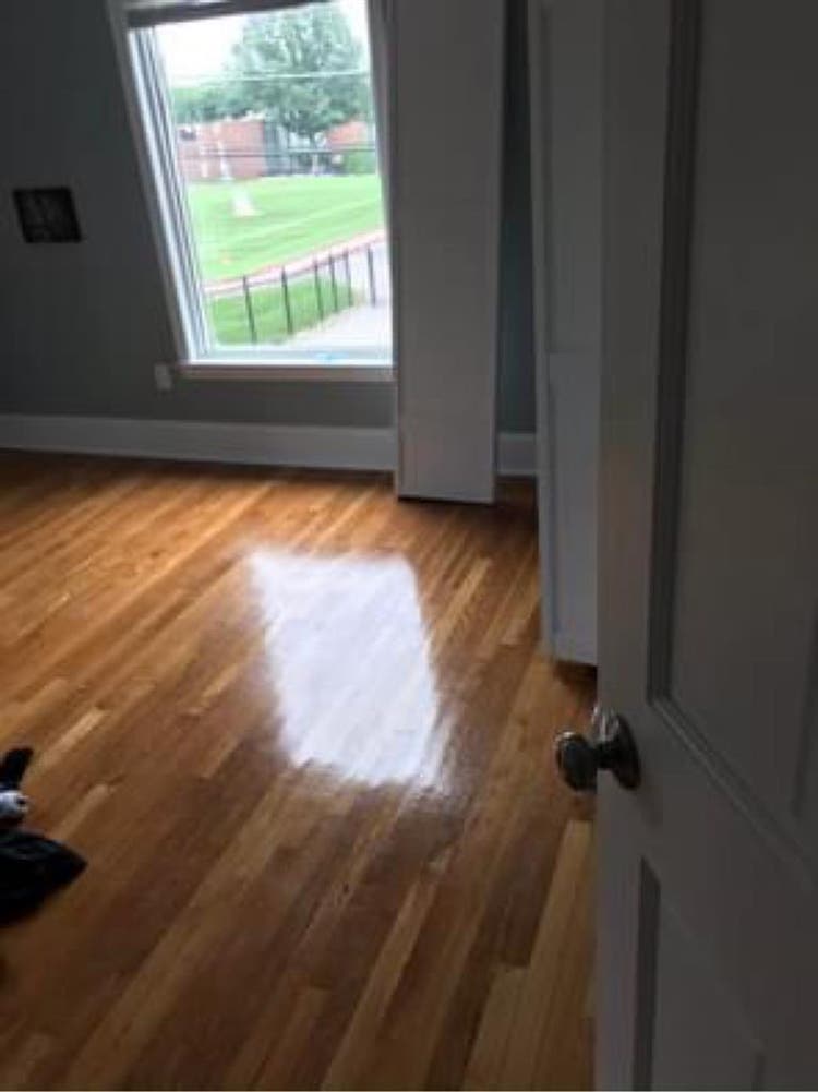 Roommate wanted