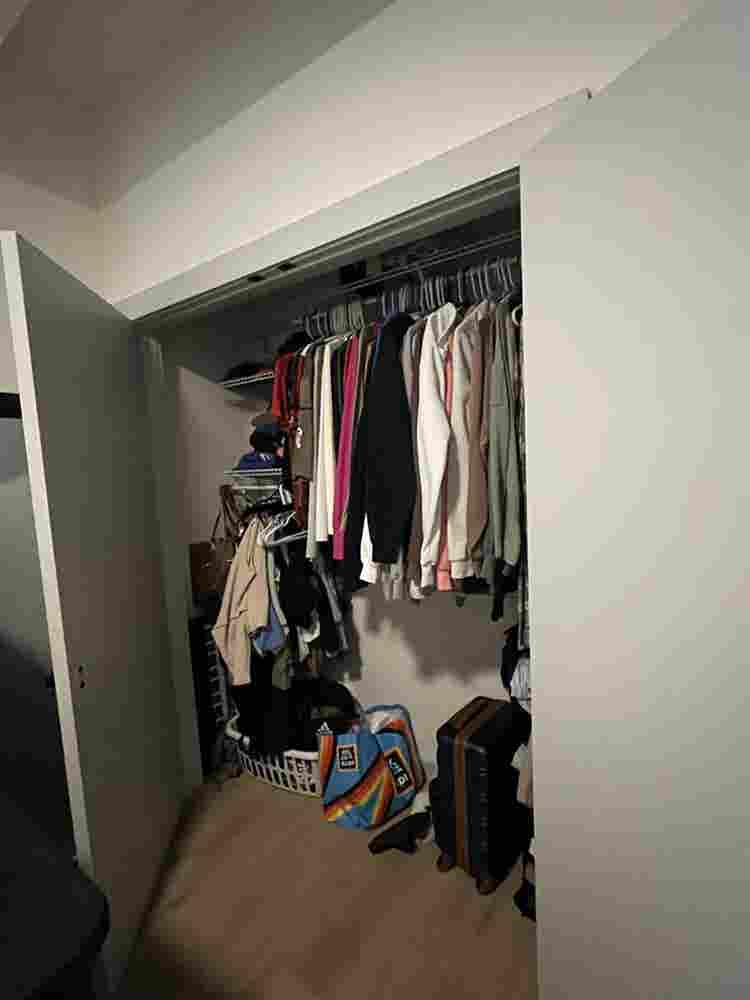 Looking for a roomie!