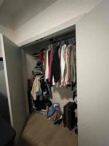 Looking for a roomie!