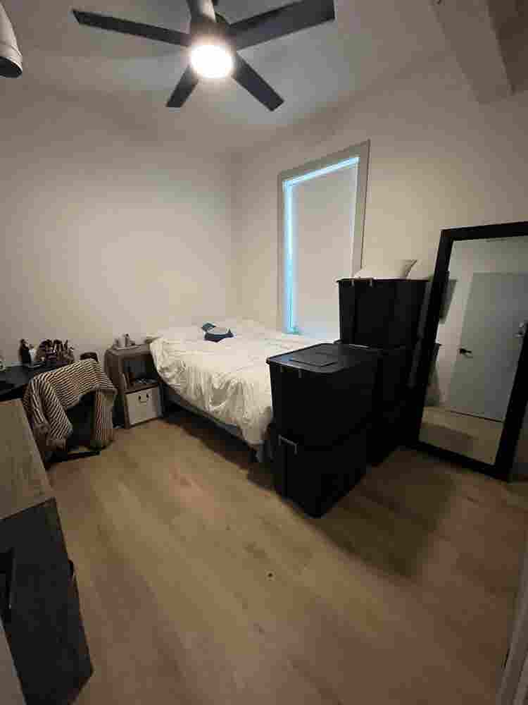 Looking for a roomie!