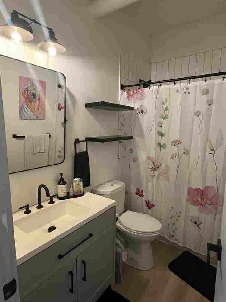 Looking for a roomie!
