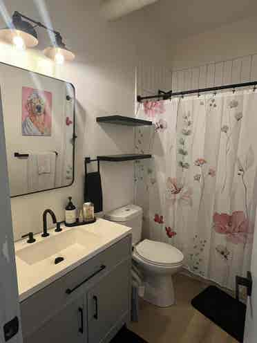 Looking for a roomie!