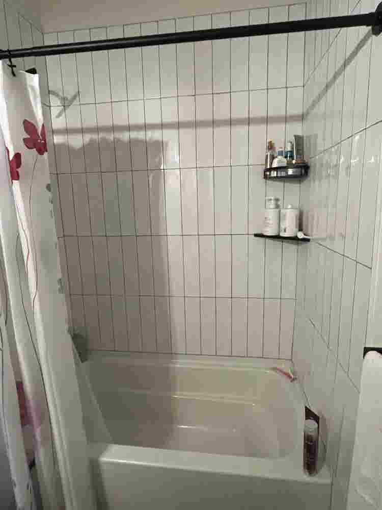 Looking for a roomie!