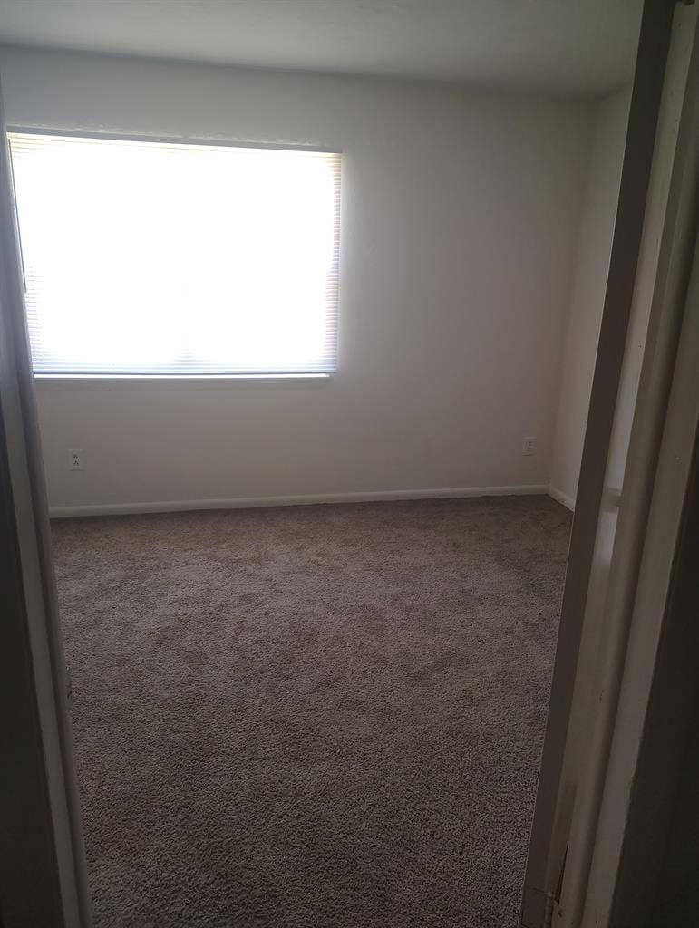 Single male with cat 2 story TH