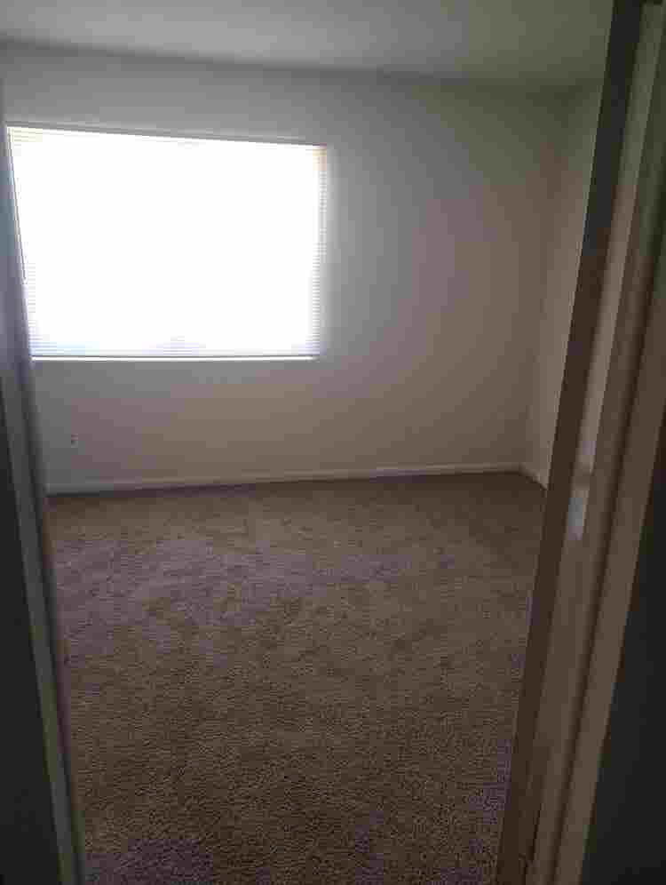 Single male with cat 2 story TH