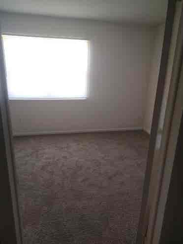Single male with cat 2 story TH