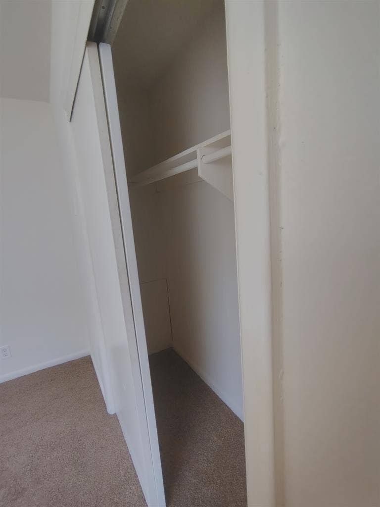 Single male with cat 2 story TH