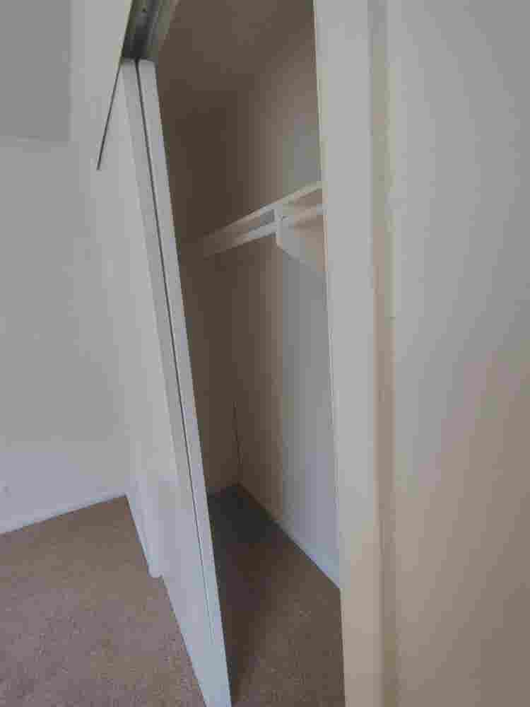 Single male with cat 2 story TH