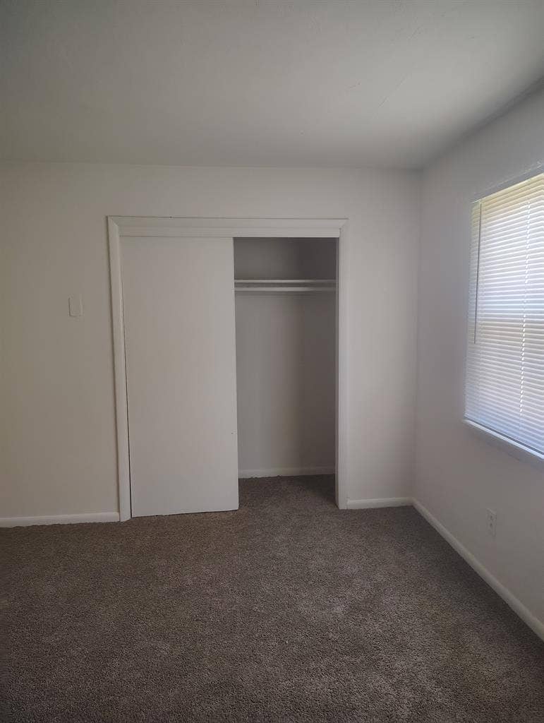 Single male with cat 2 story TH
