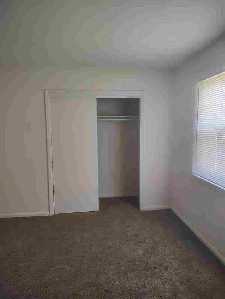 Single male with cat 2 story TH