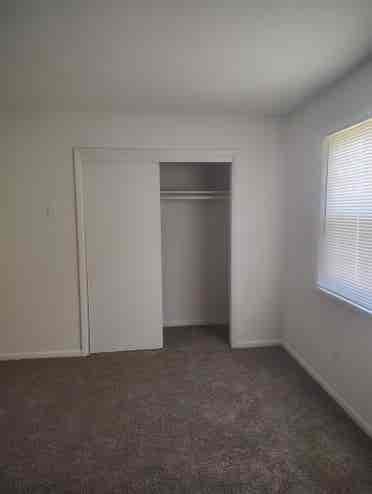 Single male with cat 2 story TH
