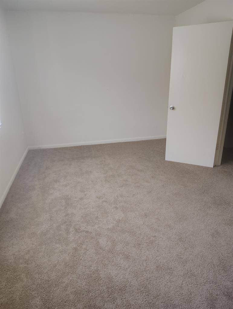 Single male with cat 2 story TH