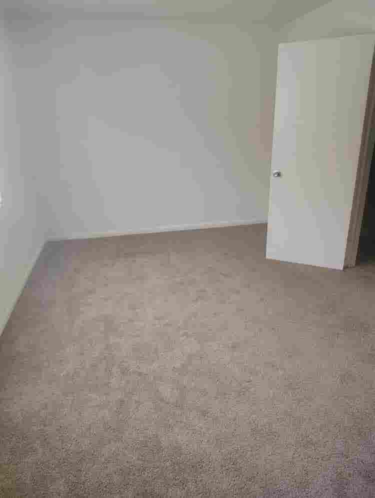 Single male with cat 2 story TH