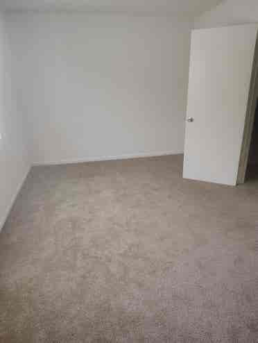 Single male with cat 2 story TH