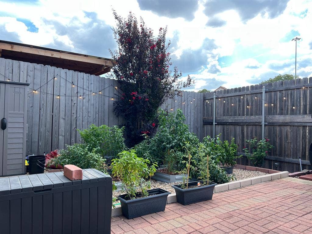 Onion Creek - Room + Private Bath!