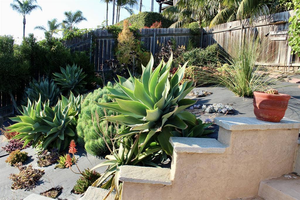 2 Bedrooms in 3 Br House for Rent