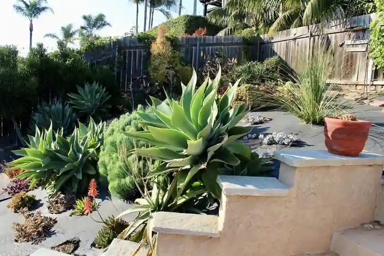 2 Bedrooms in 3 Br House for Rent