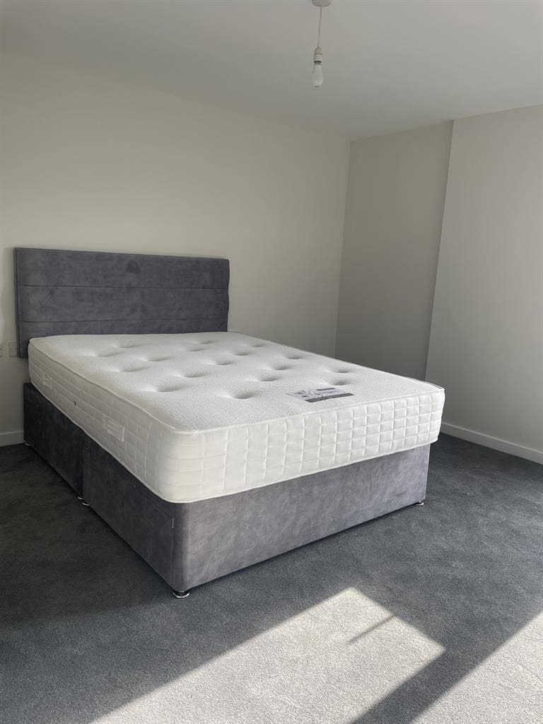 Room Available!
