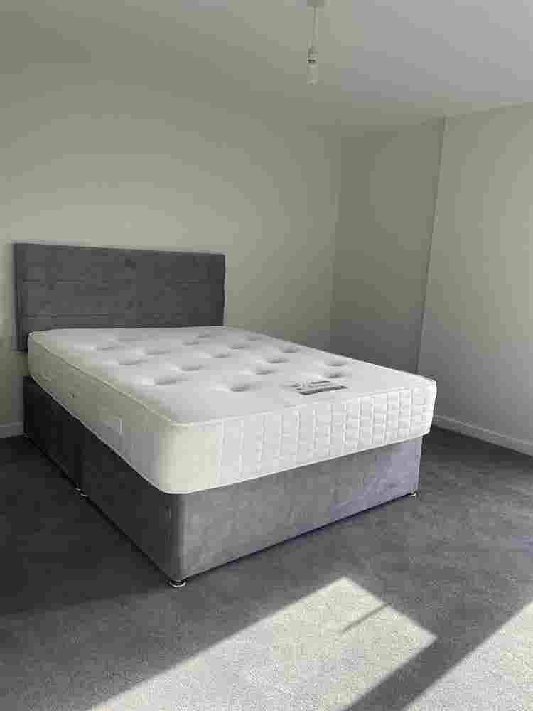 Room Available!