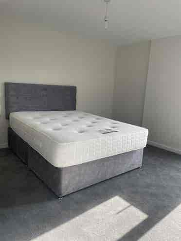 Room Available!