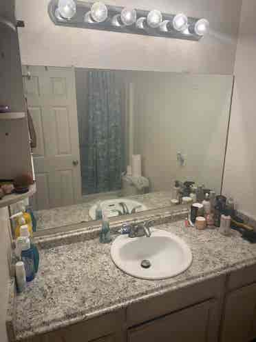 Mesa student room touring ASAP